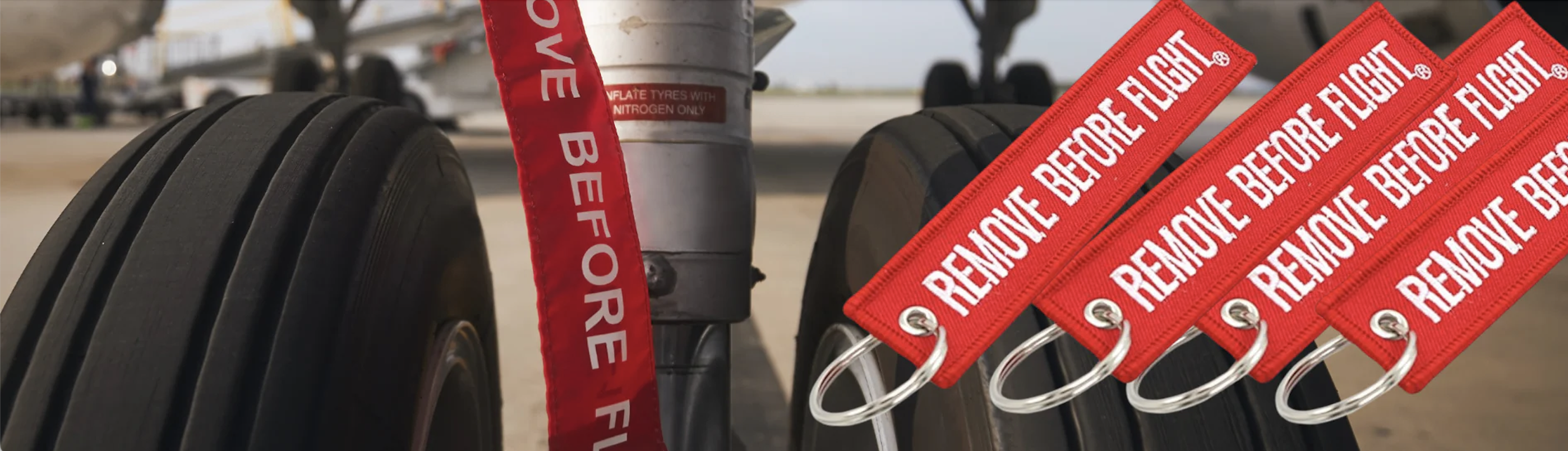 REMOVE BEFORE FLIGHT